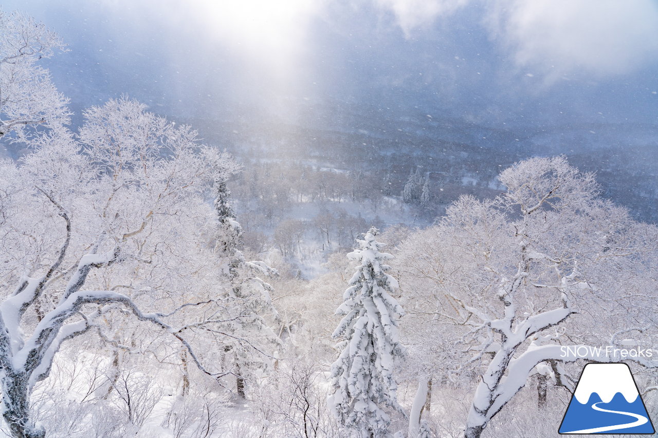 キロロリゾート｜降り出したら早いキロロ。積雪は、200cmに到達！X'mas＆年末年始に向けてコンディション急上昇(*^^)v